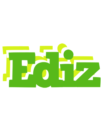 Ediz picnic logo