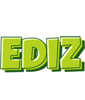 Ediz summer logo