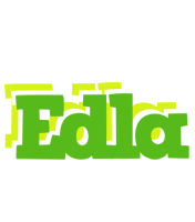 Edla picnic logo