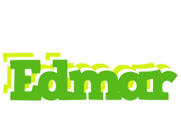 Edmar picnic logo