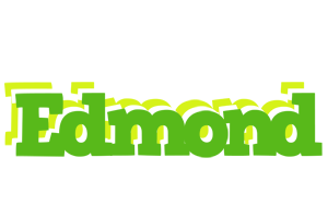 Edmond picnic logo