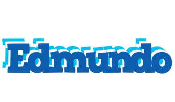 Edmundo business logo