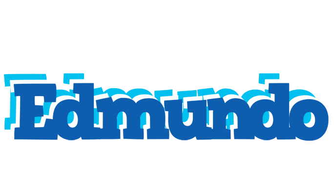 Edmundo business logo