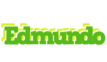 Edmundo picnic logo