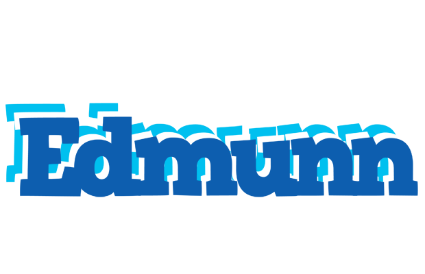 Edmunn business logo