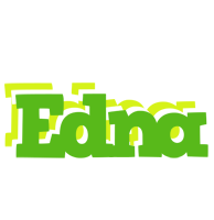 Edna picnic logo