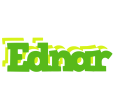 Ednar picnic logo