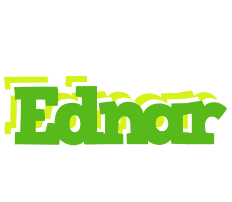 Ednar picnic logo