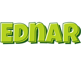 Ednar summer logo