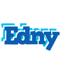 Edny business logo