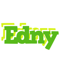 Edny picnic logo