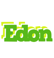 Edon picnic logo