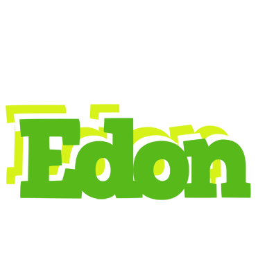 Edon picnic logo