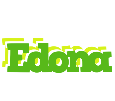 Edona picnic logo