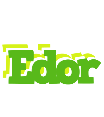 Edor picnic logo
