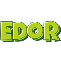 Edor summer logo