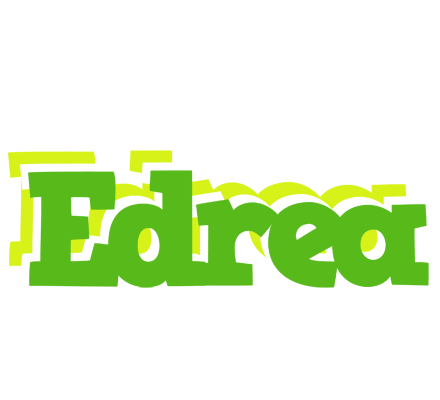 Edrea picnic logo