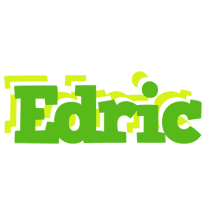 Edric picnic logo