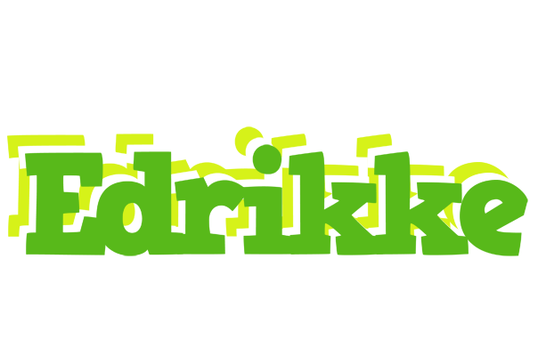 Edrikke picnic logo