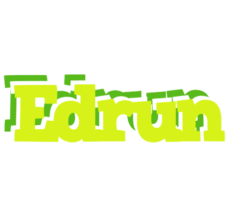 Edrun citrus logo