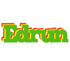 Edrun crocodile logo