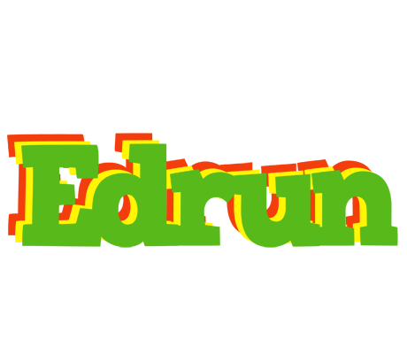 Edrun crocodile logo