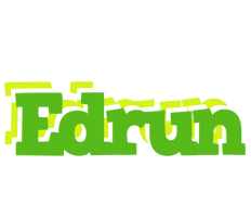 Edrun picnic logo