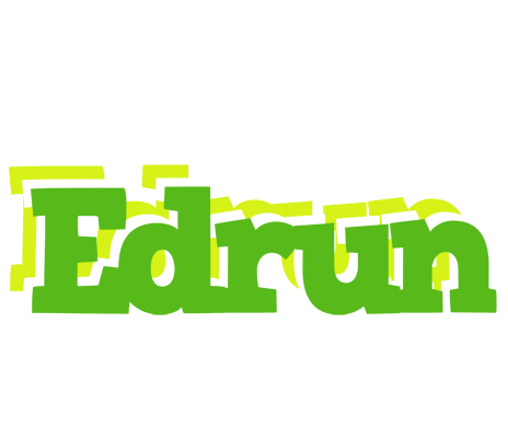 Edrun picnic logo