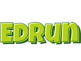 Edrun summer logo