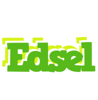 Edsel picnic logo