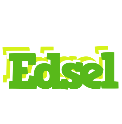Edsel picnic logo