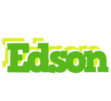 Edson picnic logo