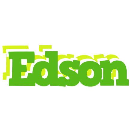 Edson picnic logo