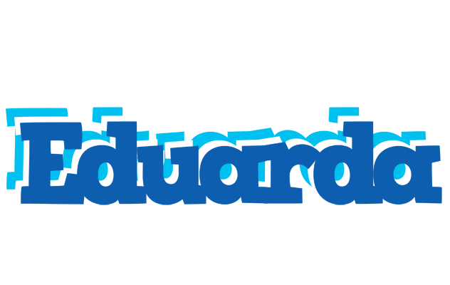 Eduarda business logo