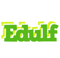 Edulf picnic logo