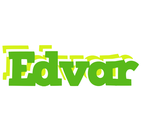 Edvar picnic logo