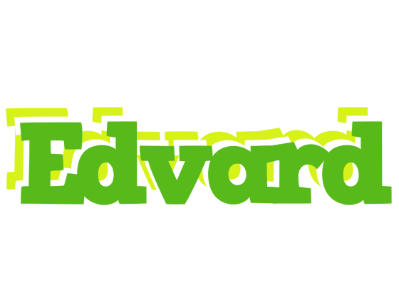 Edvard picnic logo