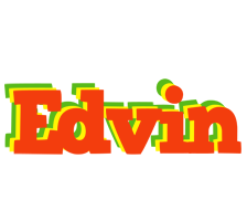 Edvin bbq logo