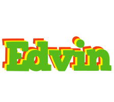 Edvin crocodile logo