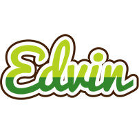 Edvin golfing logo