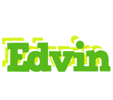 Edvin picnic logo