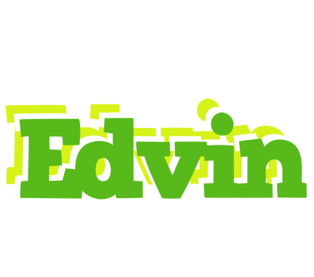 Edvin picnic logo