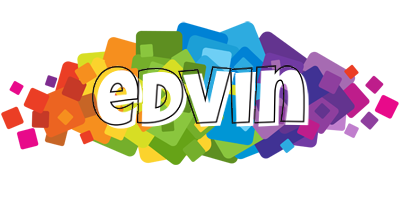 Edvin pixels logo