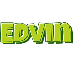 Edvin summer logo