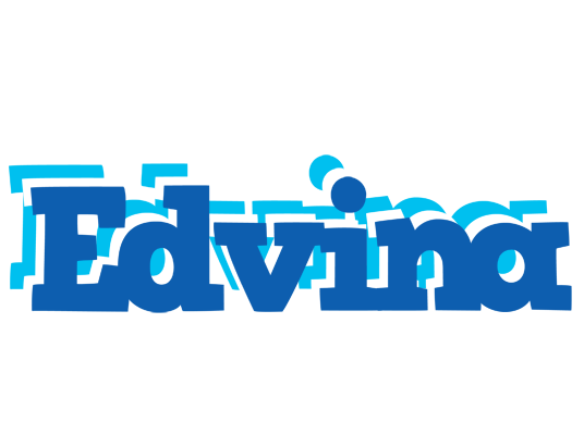 Edvina business logo