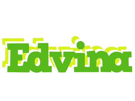 Edvina picnic logo