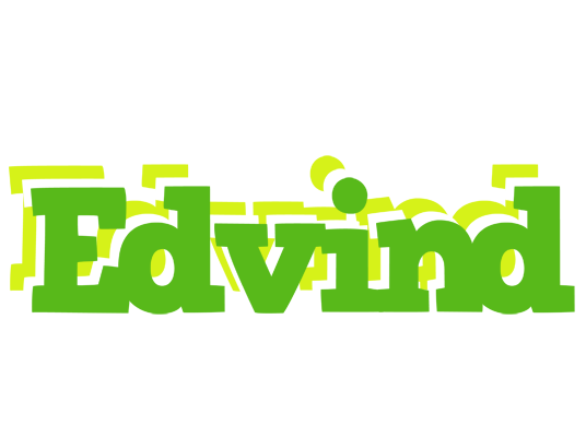 Edvind picnic logo