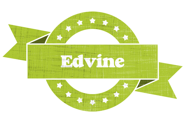 Edvine change logo