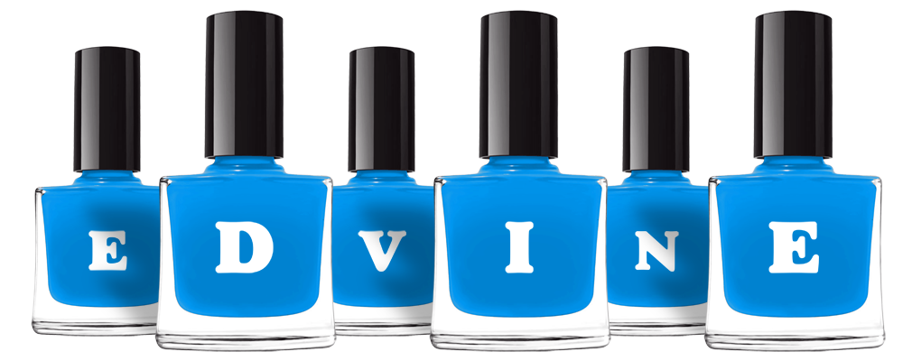 Edvine glossy logo