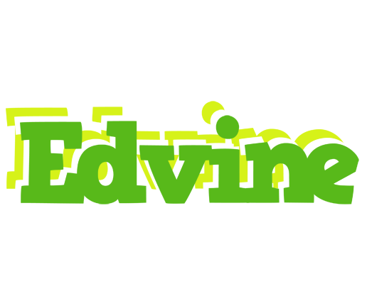 Edvine picnic logo